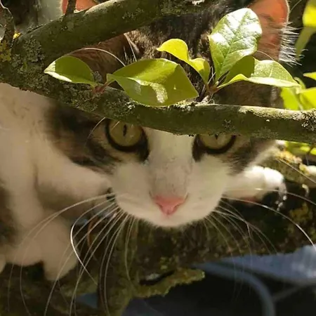 D'hotes Josephine 2 Ou 4 Voyageurs 3*